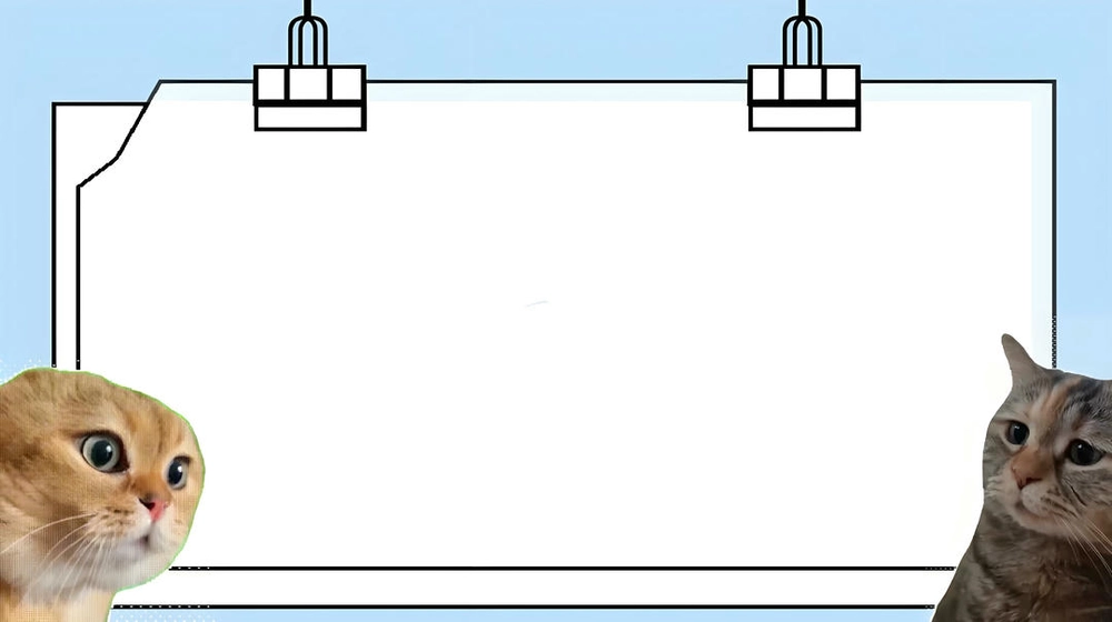 hình nền PowerPoint ngộ nghĩnh nền trắng trong sáng 