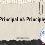 Principal và Principle