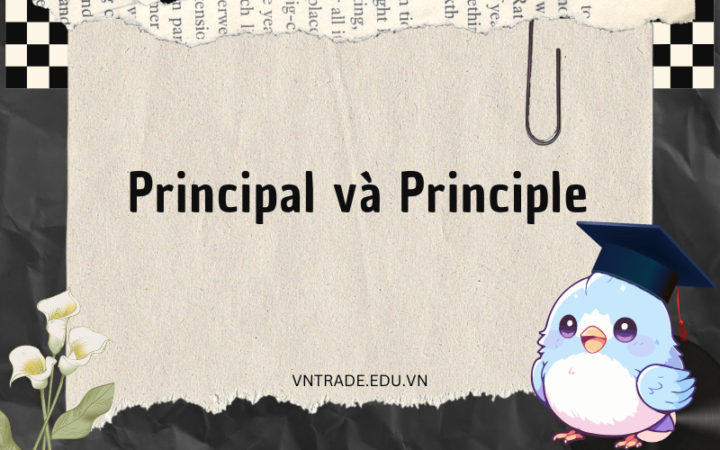 Principal và Principle
