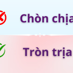 Tròn trịa hay Chòn chịa