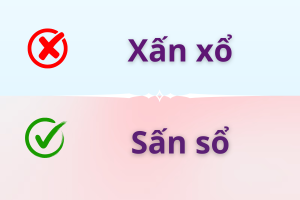 Xấn xổ hay sấn sổ