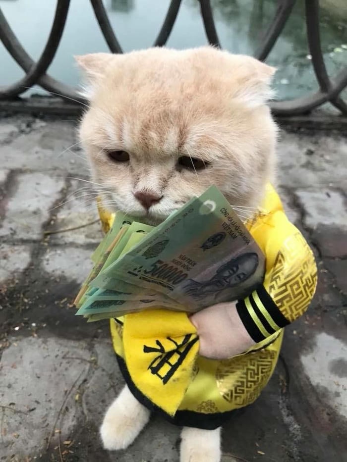 Ảnh chế tiền hài hước