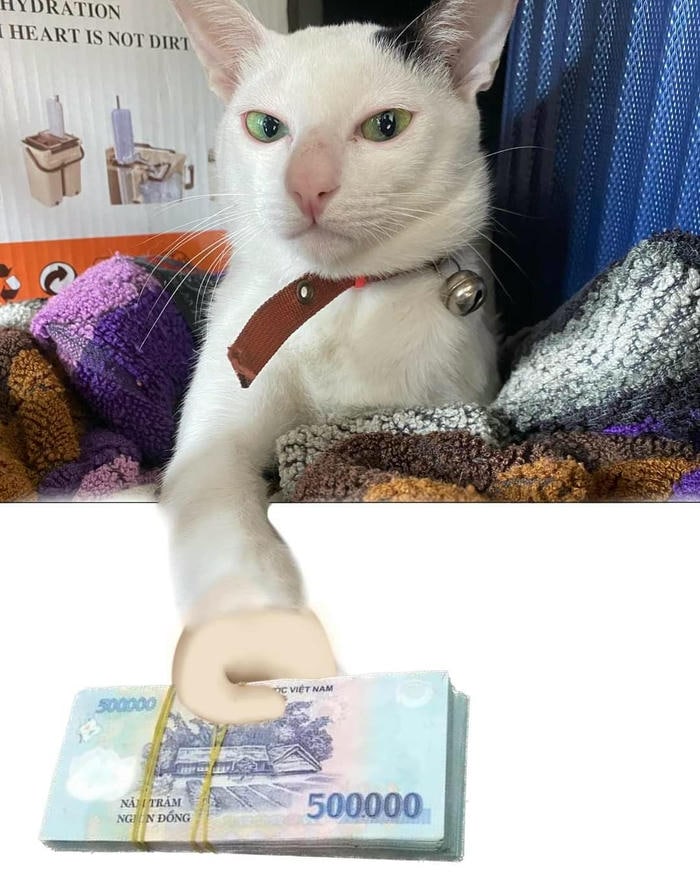 Ảnh meme tiền vui