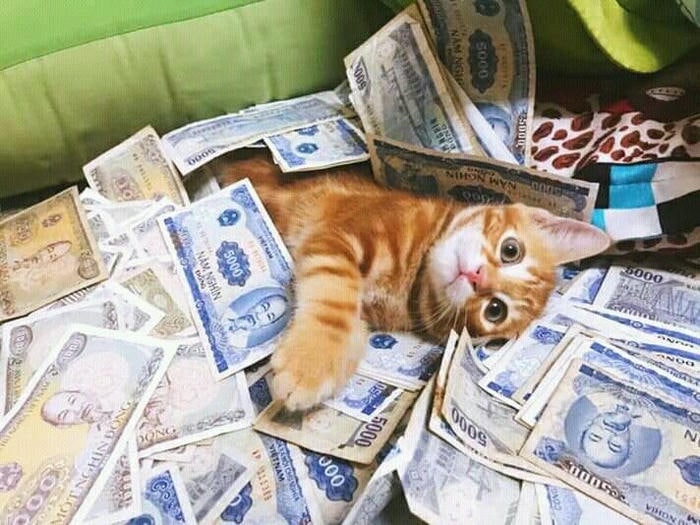 Hình ảnh meme tiền vui nhộn