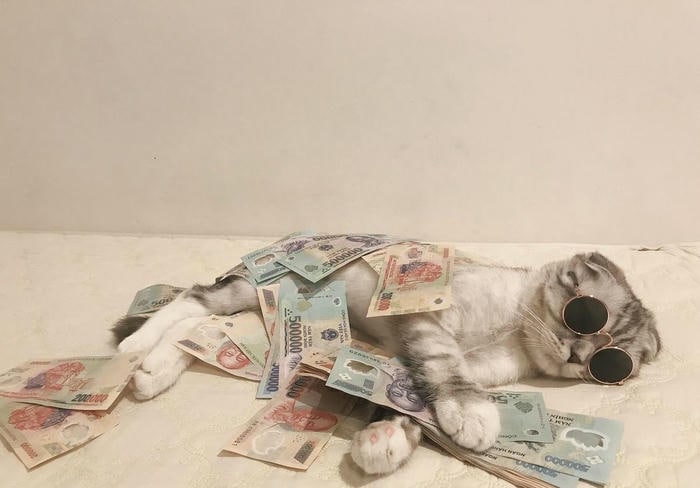 Hình ảnh meme về tiền