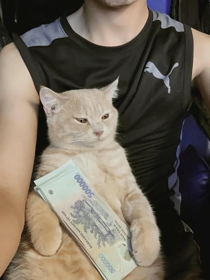 Những ảnh meme tiền bá đạo