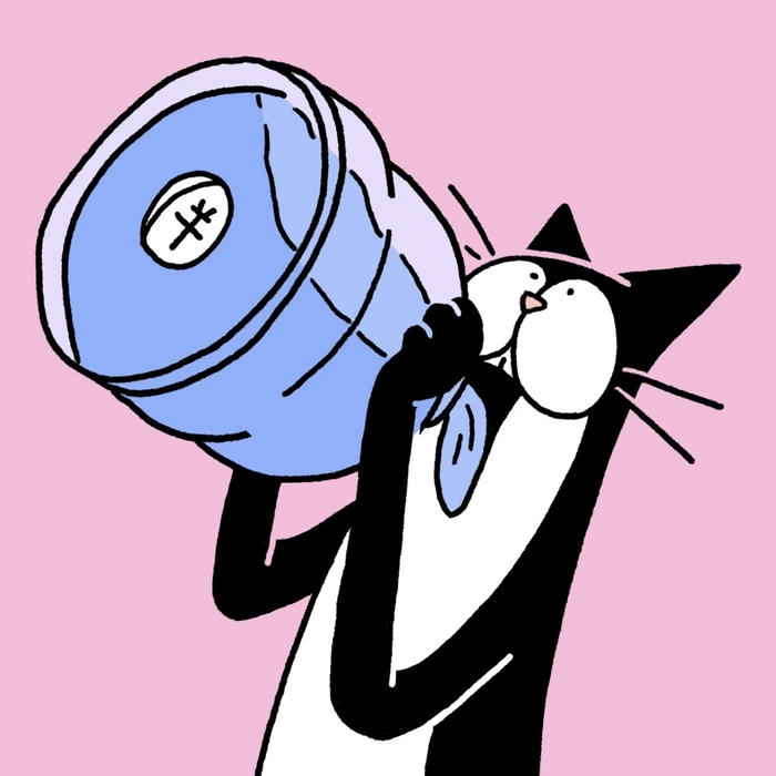 ảnh mèo avatar trắng đen vô tri