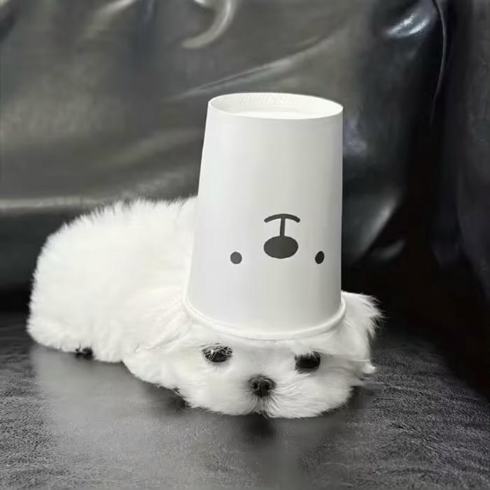 avatar đen trắng cute