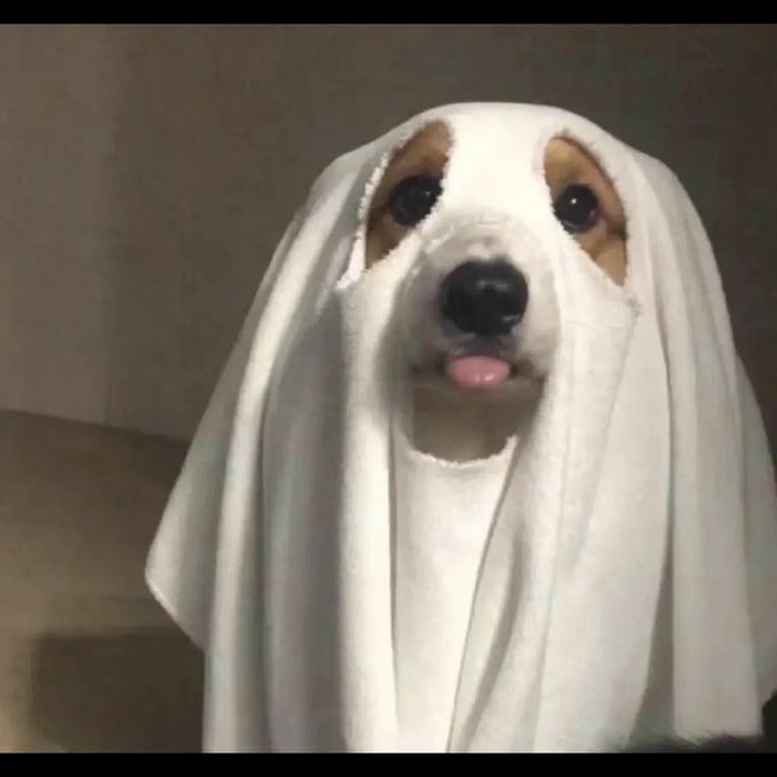 avatar meme reaction