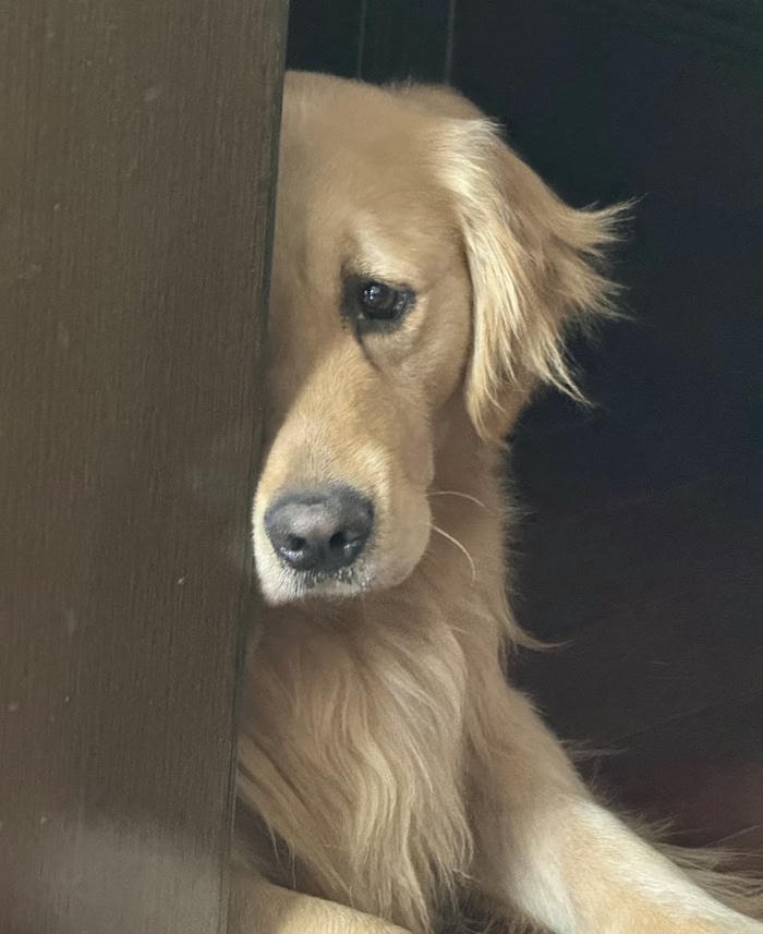 meme buồn một mình