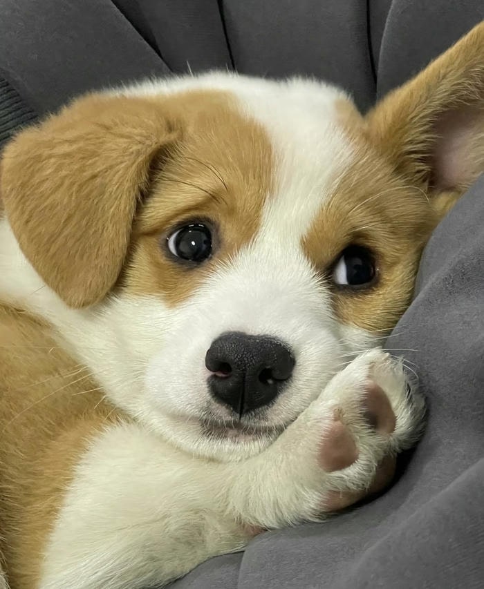 meme cô đơn buồn