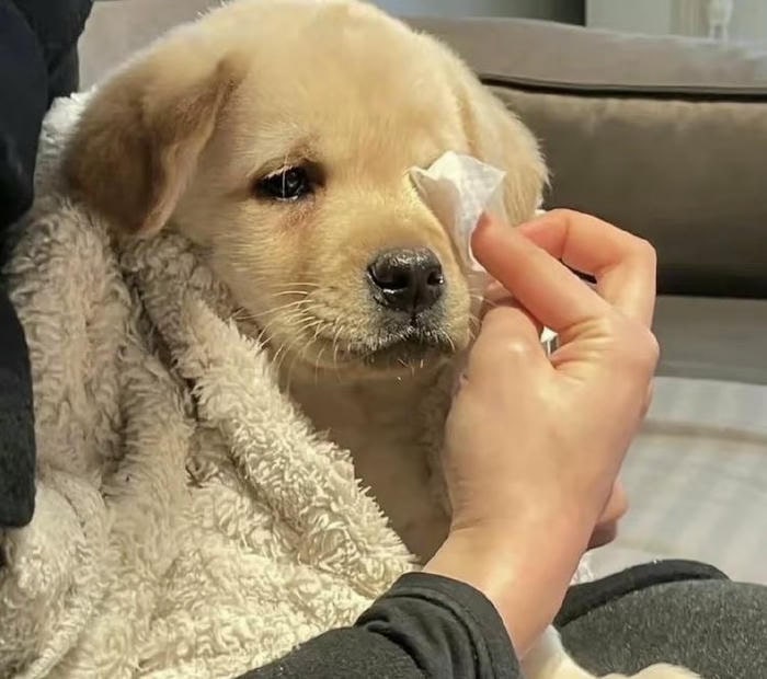 meme cô đơn dễ thương