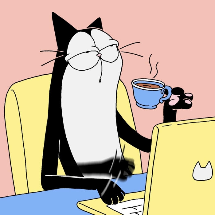 mèo vô tri phong cách tối giản